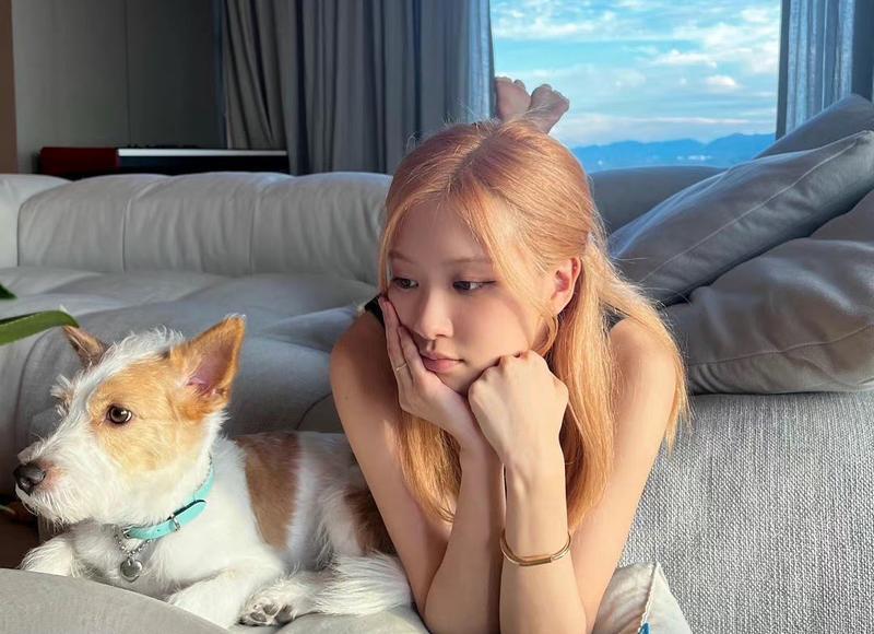 七月你好的句子，暖心情话让你的TA感动哭