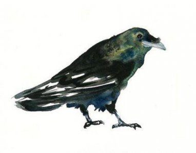 ​有冲劲的正能量句子 2025正能量励志语录