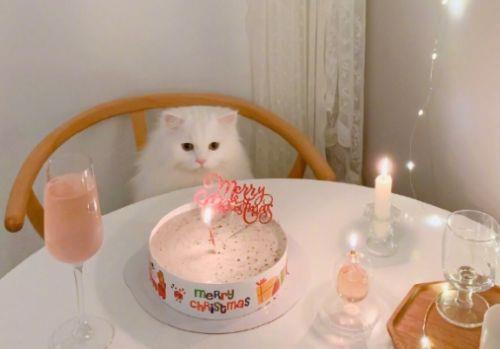 2025最新励志语录