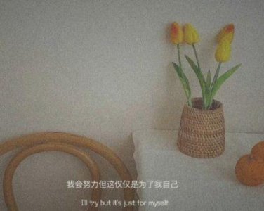 ​读书的心灵鸡汤经典语录励志文案(精选50句)