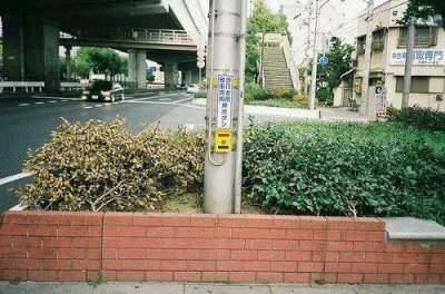 ​教育类心灵鸡汤经典语录励志