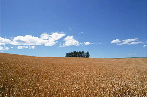 爱情哲理句子唯美
