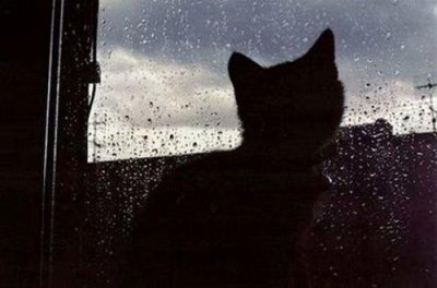 ​经典的励志短句