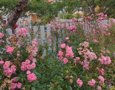 【热门】爱情优美句子锦集46条