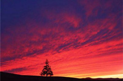 ​因为爱情心碎的句子 让人心碎的句子爱情(精选42句)