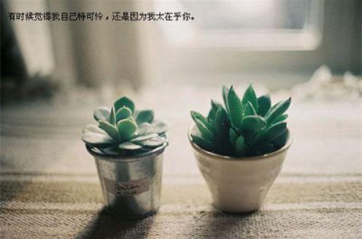 ​2025年世界读书日的经典语句汇总85句