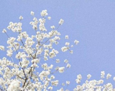 ​加油孩子们中考的励志的句子