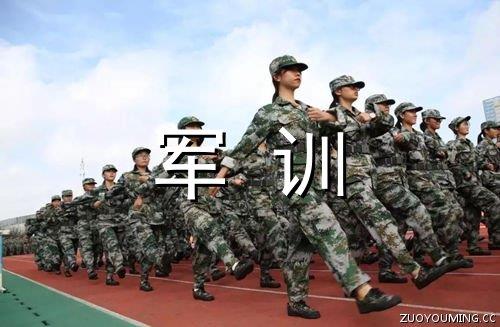 从头开始励志的句子（精选85句）