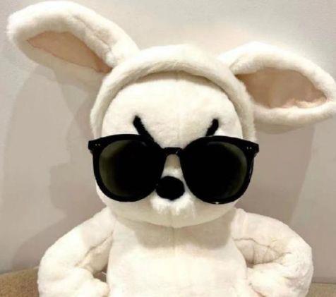 关于经典的表白句子