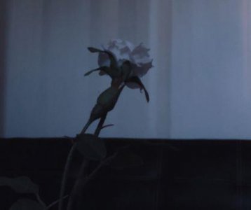 ​经典感悟人生励志格言