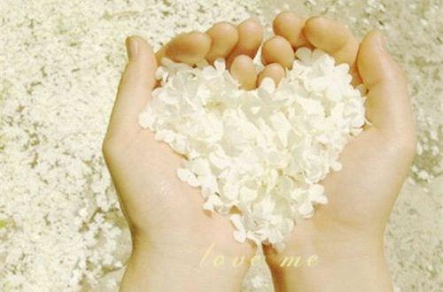 经典的情感哲理句子