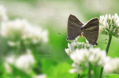 ​我们都要好好的经典句子16句