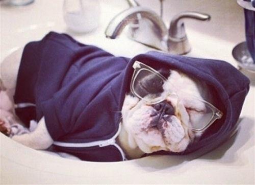 2020年超级经典原创句子