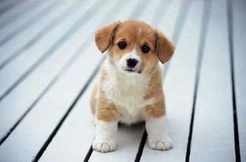 简短的励志语句汇编49条