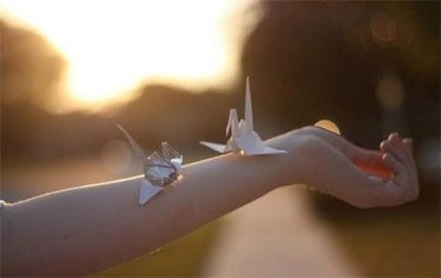 ​短句文案干净励志 干净励志文案(54句)