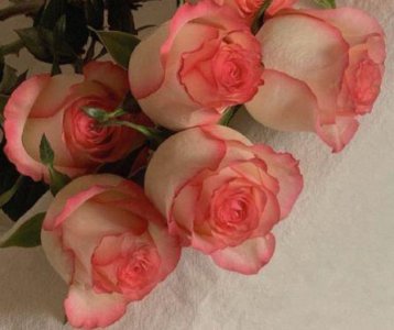 ​加油短句霸气 励志的话简短霸气推荐(84句)