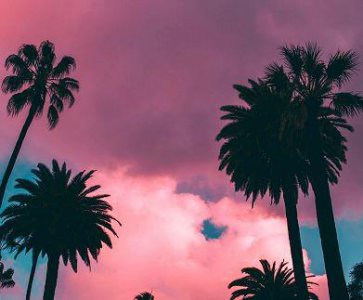 ​迎接春天万物复苏的季节 形容春天励志的句子唯美