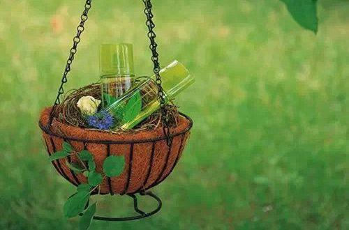 最新励志的句子致自己