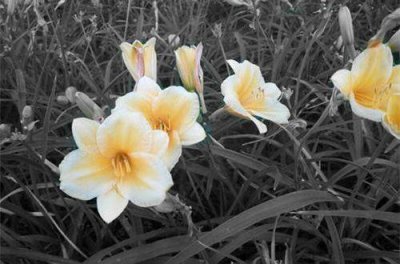 ​坚持不懈的励志格言