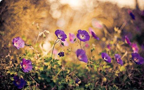 正能量句子励志长句子