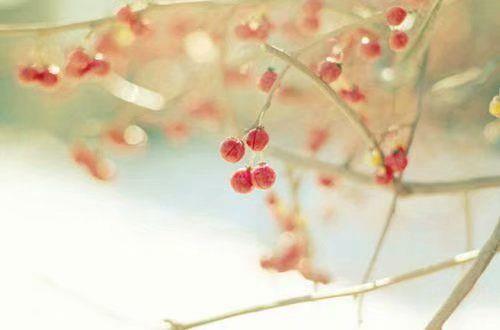 90后青春的励志句子