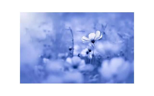 25条女朋友的英文情话（求求你的土味情话）