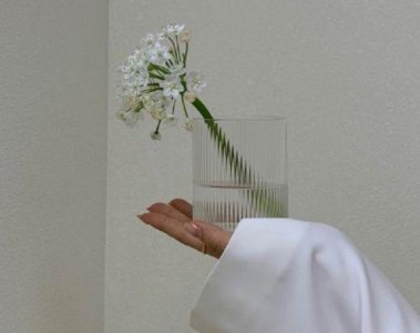 ​八字的成语和解释99句