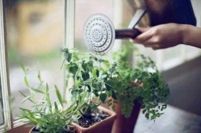 ​致自己奋斗励志的句子