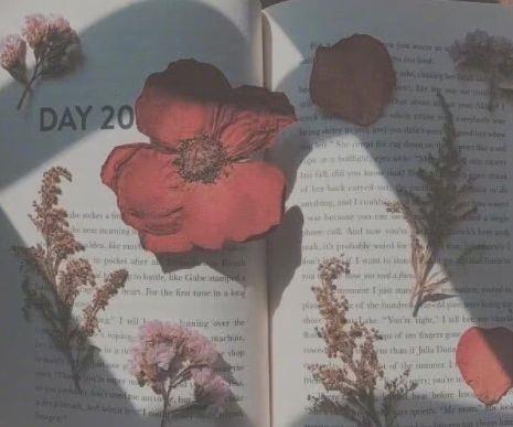 友情个性签名-励志