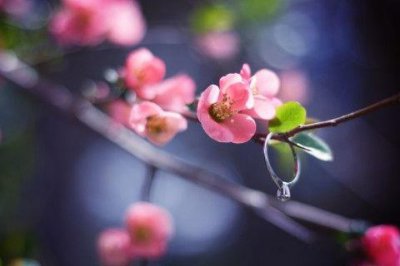 ​励志的句子，总有适合你