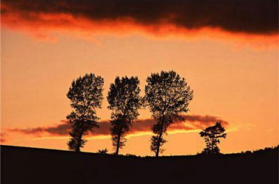 ​人生奋斗励志的句子