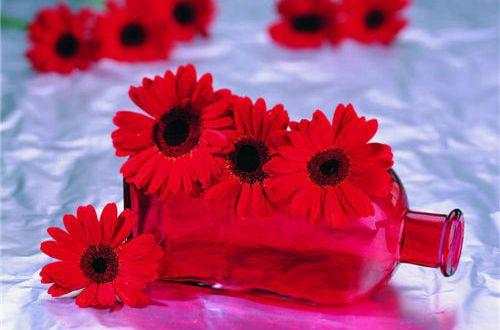 令人感动的表白话语