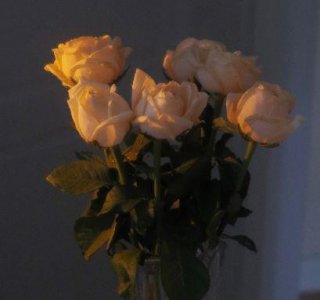 ​表示遇见你很幸运短句 感谢相遇的唯美句子合集46句