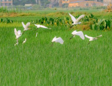 ​悲伤的句子摘录60条