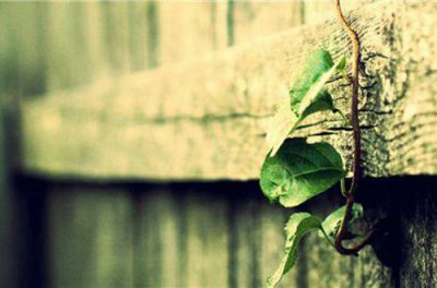 ​妈妈给儿子鼓励的话 激励初三学生拼搏的话(精选73句)