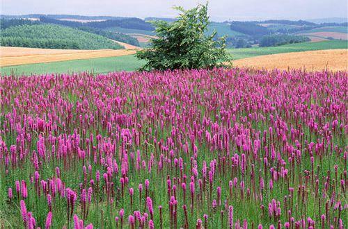 关于未来的励志语句