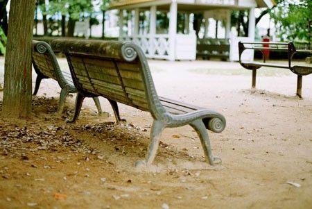 青春最美丽励志的句子