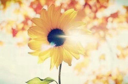 奋斗励志文案很燃的奋斗文案