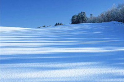 ​读书有益的励志句子