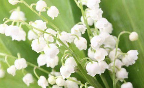 2015精选努力的早安励志句子