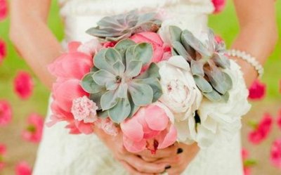 ​青春奋斗梦想励志文章 青春梦想励志的句子(精选31句)