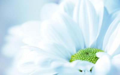 ​挽回感情最有效的话 挽留人的情话(80句)