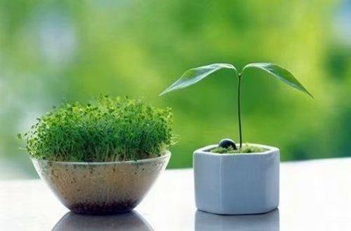 励志好好学习的句子