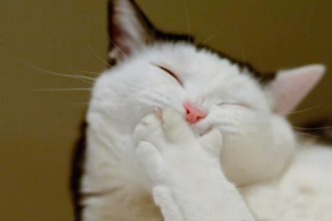 昨天已经成为过去的句子