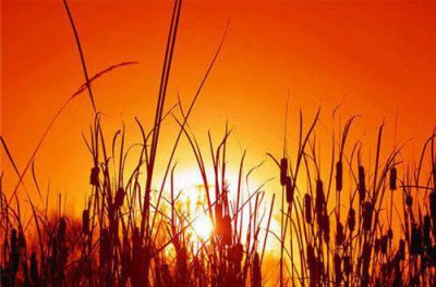 ​炫舞爱情宣言经典语录70句