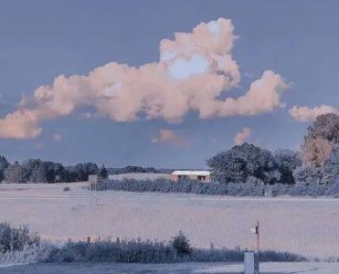 ​适合2.14表白的撩人情话大全