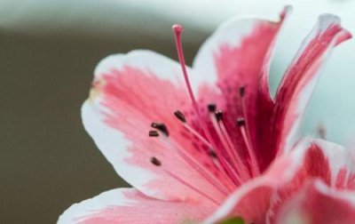 ​唯美的高考励志句子