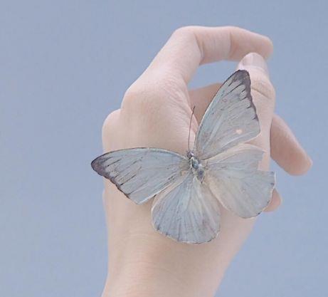 2025年黑暗系血腥唯美句子