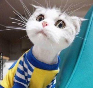 ​关于励志保持初心的句子(19句)