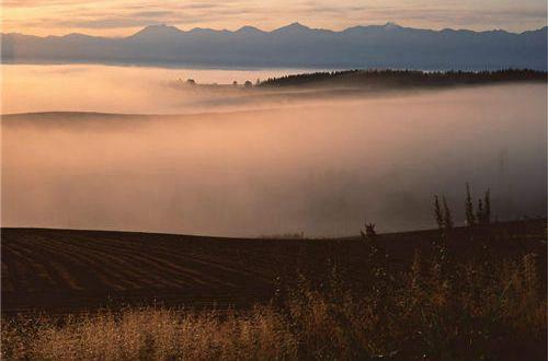 2025年实用的青春唯美语录汇编33条